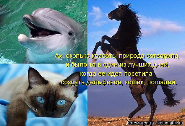 Marina - 28 ������� 2014 � 08:27
