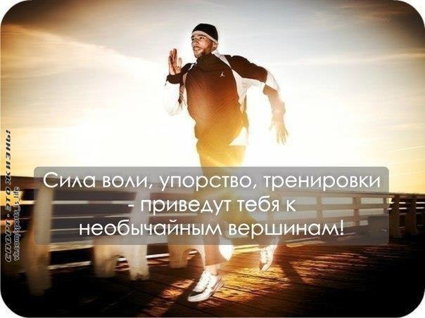  -   - 2  2014  15:31