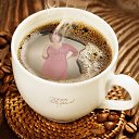 ���� ����, ����� - ��������� 13 ������ 2014 � ������ ������ ��������