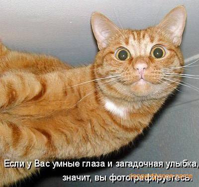 А на картинке получился какойто не понятный: то ли дурачок то ли увидет пол метра колбасы