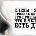 ���� ��������, ��������� - ��������� 14 �������� 2014 � ������ ������ ��������