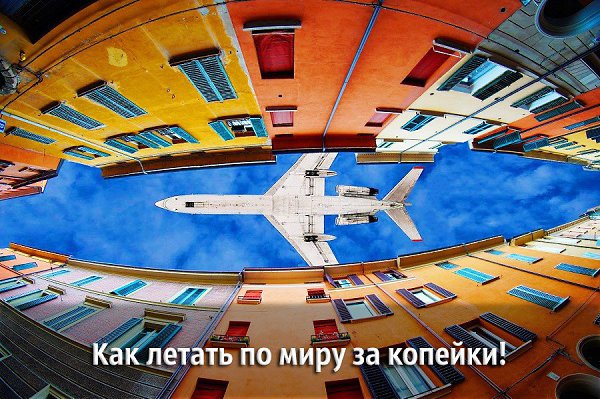 55 авиакомпаний, с которыми можно летать за копейки. Рубрика: ...