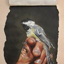 ���� ����, �����-���������, 35 ��� - ��������� 20 ������ 2014 � ������ ���� ����������