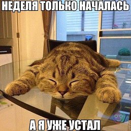 ���� ������, ��������� - ��������� 4 ������ 2014