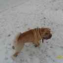 ���� !!!������!!!, �����������, 52 ���� - ��������� 10 ������ 2014 � ������ ����-��� ���)))�