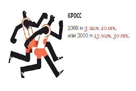     2014 .       !!! - 8