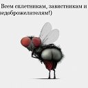 ���� ��������, ����, 62 ���� - ��������� 3 ������� 2014