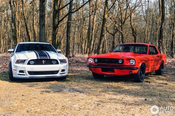 Ford Mustang Boss 302 and Mustang GT 1966. - 2