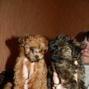 ���� ����, �����-���������, 47 ��� - ��������� 26 ������� 2014 � ������ ���� ����������