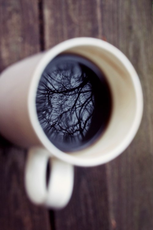 tumblr - 1  2014  10:13 - 2
