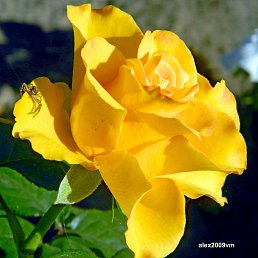 ���� ���������, ���������, 67 ��� - ��������� 20 �������� 2014