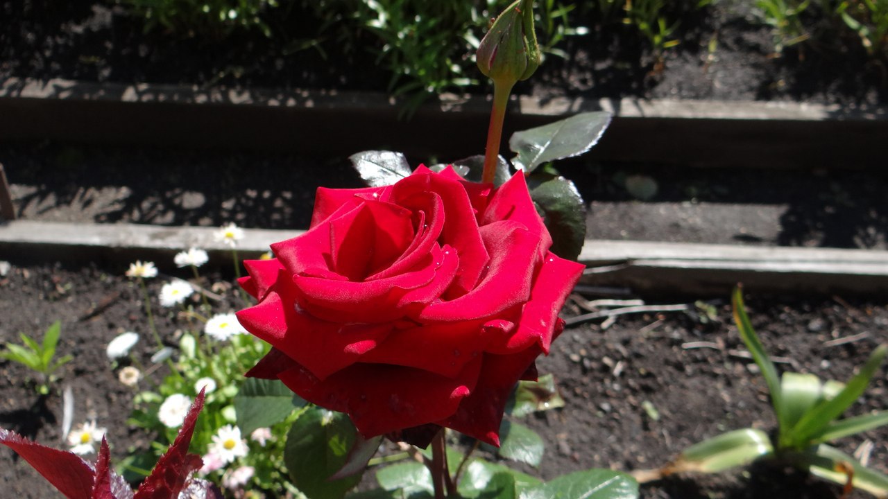   ,   ...   ,   .  ...