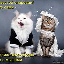���� �������, ����� - ��������� 12 ������� 2014 � ������ ���� ����������