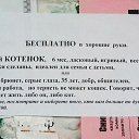 ���� A��������, ������, 55 ��� - ��������� 23 ������� 2014 � ������ �������;-)))))�