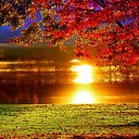 ���� ����, ������, 58 ��� - ��������� 10 �������� 2014 � ������ �������