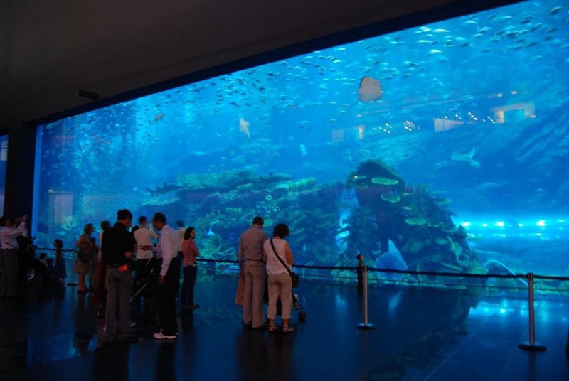   - "Dubai Mall Aquarium",  (). "Dubai Mall ... - 2