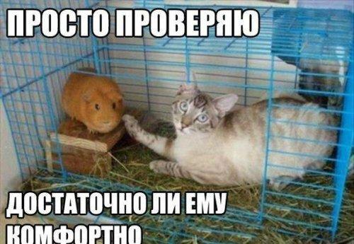 �������������� �� ���: <a href=