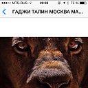 ���� A���, ���������, 39 ��� - ��������� 15 ������ 2014 � ������ ����λ