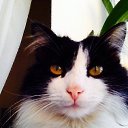  Firdavs, , 39  -  3  2014    