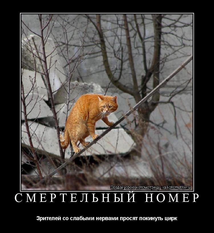 Как то не пришлось. Важно не важно алиса в стране чудес. Не торопись выполнять приказ. Ослик иа удивляться не приходится. Кот мирится.