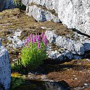 ���� ��������, �����-���������, 74 ���� - ��������� 9 �������� 2014 � ������ ������� 14�