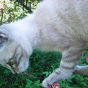 ���� Oleg, �������, 56 ��� - ��������� 19 ������� 2014 � ������ ���� ����������
