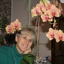 ���� �����, ������ �������, 57 ��� - ��������� 17 �������� 2014 � ������ ���� ����������