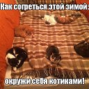  ,  -  11  2014    