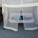 ���� �����, ������������, 55 ��� - ��������� 4 ������� 2014 � ������ ������������� �������