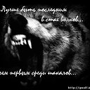  Volk,  -  19  2014    