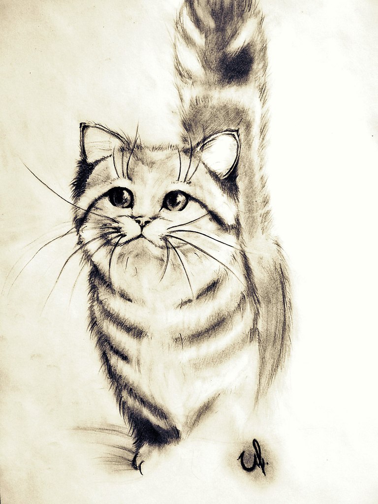 Art & Fun - 21  2014  20:13