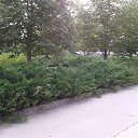 ���� Alina, ��������� - ��������� 30 ������� 2014 � ������ ���� ����������