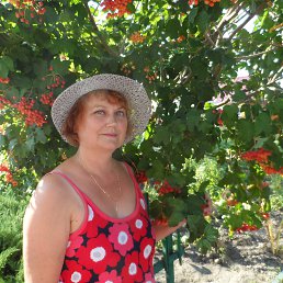 �� ������� ����