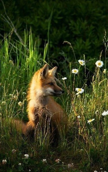 Господи дай нам глаза, которые видят в людях лучшее, Сердце, которое будет прощать худшее, Ум, что ... - 4