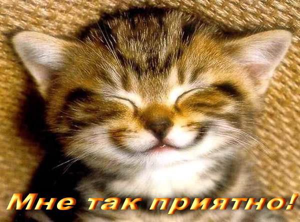     : " Ѩ ,   - ,  , ...