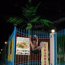 ���� Albert, ������, 46 ��� - ��������� 26 ������� 2014 � ������ ���� ����������