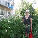 ���� ������, ������������ - ��������� 28 ������� 2014 � ������ ���� ����������