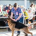        CACIB   - 23.11.2014     - 2014