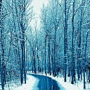 ���� ����, �����-���������, 56 ��� - ��������� 22 ������ 2014 � ������ ���� ����������