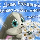 ���� ������, ���������� �����, 51 ��� - ��������� 27 ������� 2014 � ������ ������ ��������