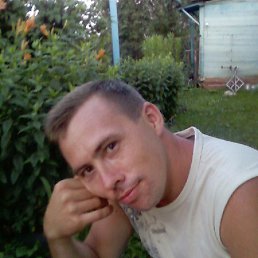 Sonik, , 48 