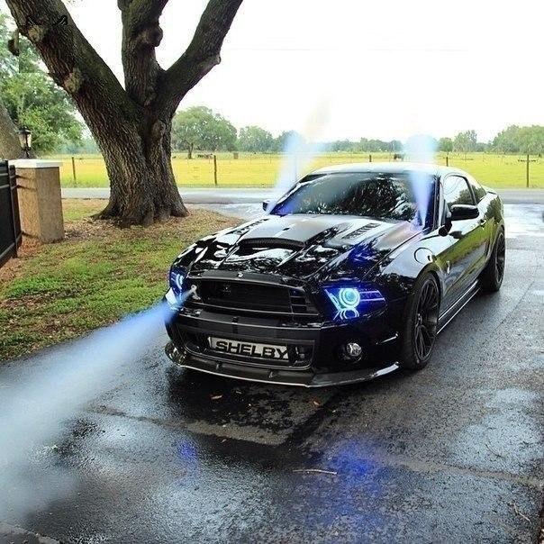 2014 Shelby GT500.