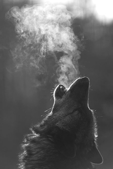 Lost - 23  2014  11:06