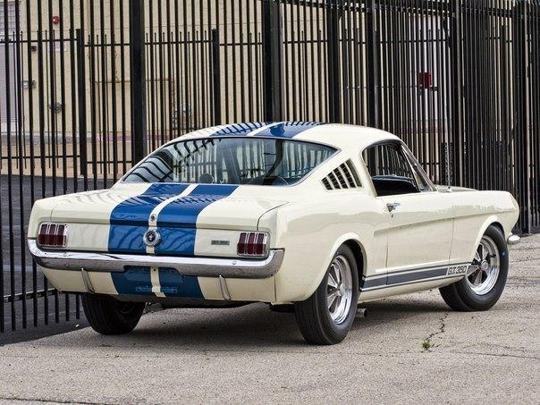 1965 Shelby GT350 - 2