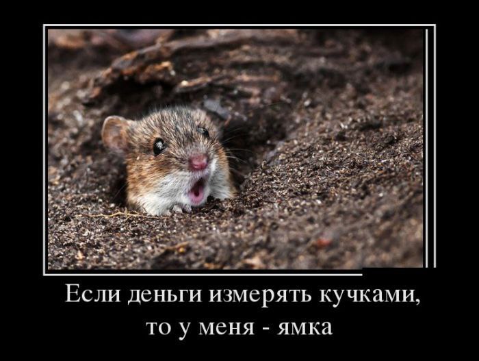  - 3  2014  18:58
