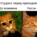���� ����, ���� - ��������� 5 �������� 2014 � ������ ������ ��������