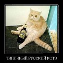 ���� ���, ������ - ��������� 16 �������� 2014 � ������ ������ ��������
