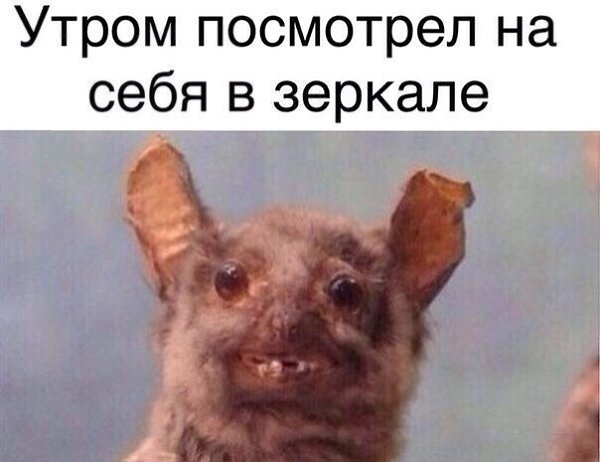     - 26  2014  18:30