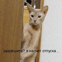 ���� ����������, ������, 49 ��� - ��������� 21 �������� 2014 � ������ ������ ��������