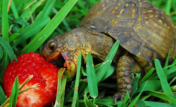 ����� ������� - 10 ������� 2014 � 08:04